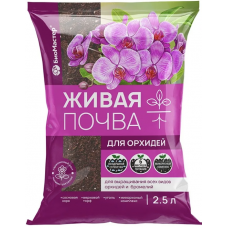 Грунт 